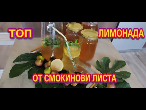 Видео: ТОП лимонада от смокинови листа, fig leaf lemonade, Limonade aus Feigenblättern
