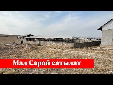 Видео: Чооң Мал Сарай сатылат. Суу, Свет кенири бар экен го❗️❗️