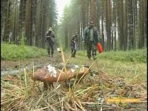 Видео: Рыбалка и охота в Карелии-1