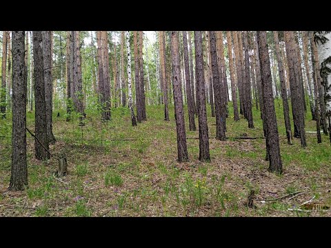 Видео: Новые интересные конструкции от леших