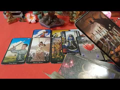Видео: Он  Думает  о  Тебе  Даже Ночью  🌙. .! Что Он Там Надумал? 