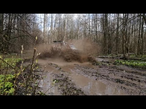 Видео: Off-road "Вдоль ТЗЧ- 2022", часть 2, грязные и мокрые лесные дороги почти как в Сибири