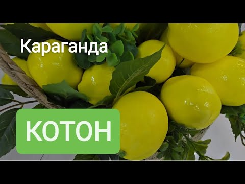 Видео: ОДЕЖДА В КОТОНЕ.ТАИР. КАРАГАНДА #караганда 