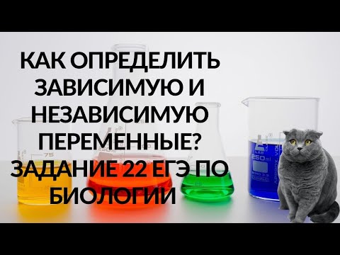 Видео: Что такое зависимая и независимая переменные? Учимся из определять! ЕГЭ по биологии