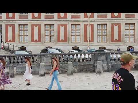 Видео: 4 ноября 2025 г.