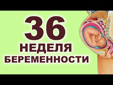 Видео: Что происходит с мамой и ребенком на 36 неделе беременности? 8 месяц беременности. Третий триместр.