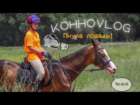 Видео: Насыщенный конный влог|| Пнула лошадь! Прямое включение, весь день на конюшне|