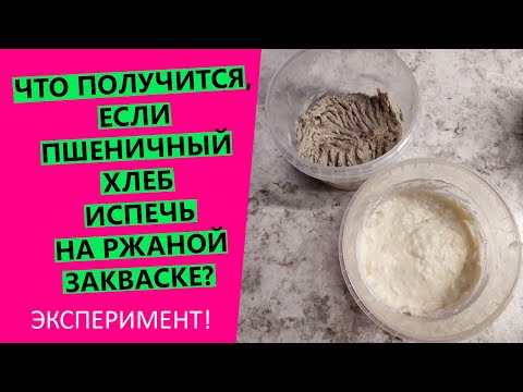 Видео: Можно ли печь 🧐😲пшеничный хлеб на ржаной закваске? НАГЛЯДНЫЙ ЭКСПЕРИМЕНТ!