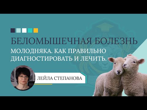 Видео: БЕЛОМЫШЕЧНАЯ БОЛЕЗНЬ МОЛОДНЯКА: как правильно диагностировать и лечить