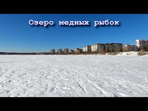 Видео: Аэросани. Озерск. Озеро Большая Нанога