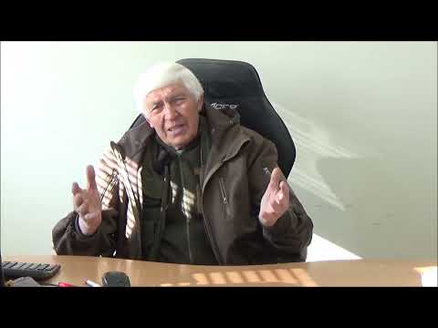 Видео: Формировка кроны ореха поэтапно. Часть III.  Юность