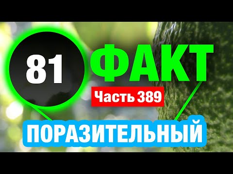 Видео: 81 Неожиданный Факт Который Вас Удивит