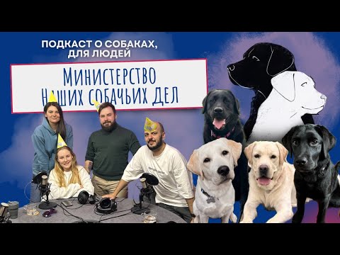 Видео: День рождения «Министерства наших собачьих дел»