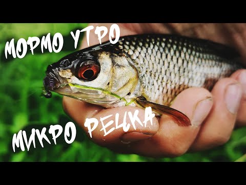 Видео: Мормышинг на микро речке. Щука не дает проходу. Много ельца!)