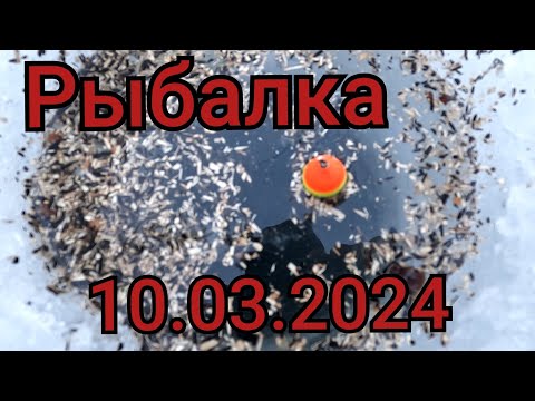 Видео: Рыбалка на поплавок 10 марта 2024 г!Я нашёл где стоит вся Рыба на этой реке ..