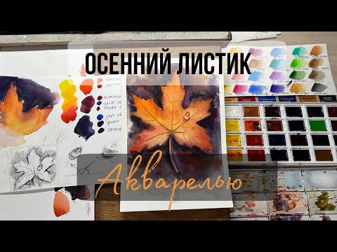 Видео: Урок акварелью. Как делать мягкие заливки в акварели? Как рисовать акварелью? Осенний листик