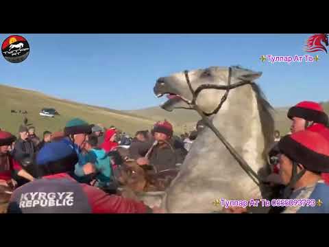 Видео: 2-Болум, Ийри-Суу, Өзгөн шаары!