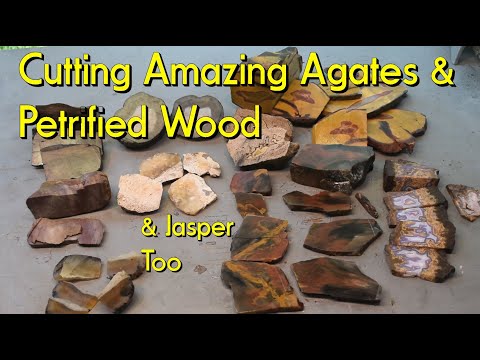 Видео: Резка удивительных агатов и окаменелого дерева #яшма #агат #окаменелоедерево #гранильный #кристал...