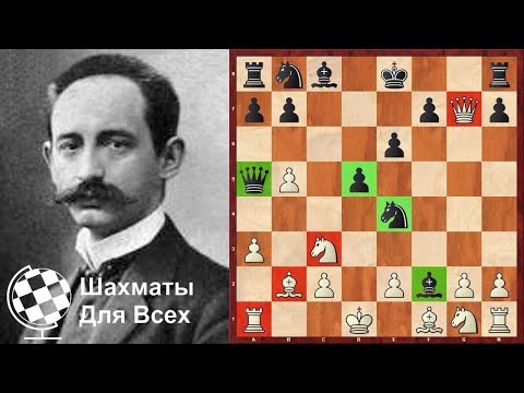Видео: Шахматы. БЕССМЕРТНАЯ ПАРТИЯ Карла Шлехтера!