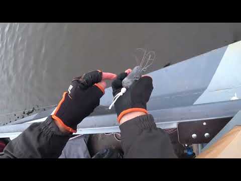 Видео: Трофейный судак на реке Припять.Рыбалка в Мозыре