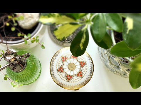 Видео: В моем доме - осень🍁Уютный садик на окне #juliaslifenotes