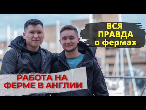 Видео: Работа на ферме в Англии. Вся правда о фермах.