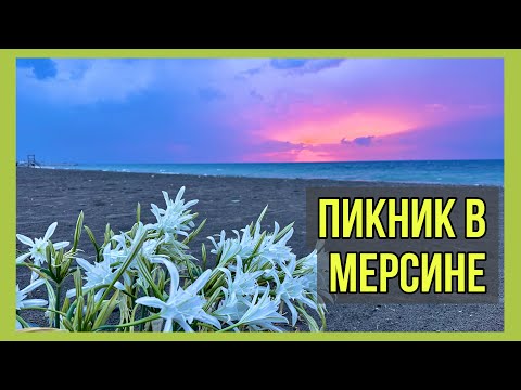 Видео: Пикник в Мерсине с ночевкой  в палатке ⛺️ Кэмпинг в Коджахасанлы, Эрдемли. Пляж в Мерсине