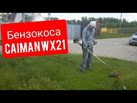 Видео: Лучшая Бензокоса CAIMAN WX21 для дома и дачи!  Купил и не пожалел!