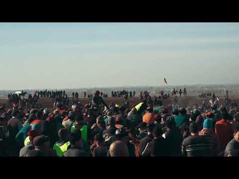 Видео: Камил атабыздын жаркын элесине арналган аламан улак 2-болум