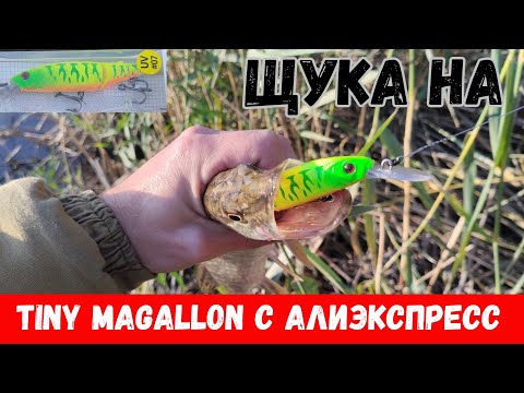 Видео: Ловлю на копию Tiny Magallon!? Оборвал оригинал Tiny Magallon!