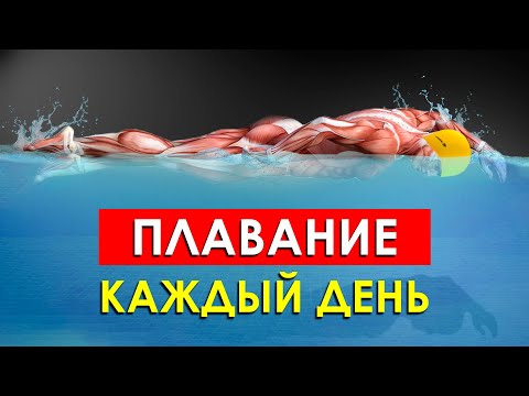 Видео: Что Произойдет с Вашим Телом, Если Плавать Каждый День