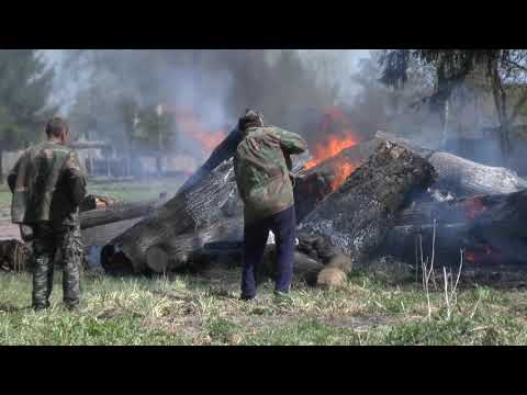 Видео: Лопандино. 29 апреля 2017.