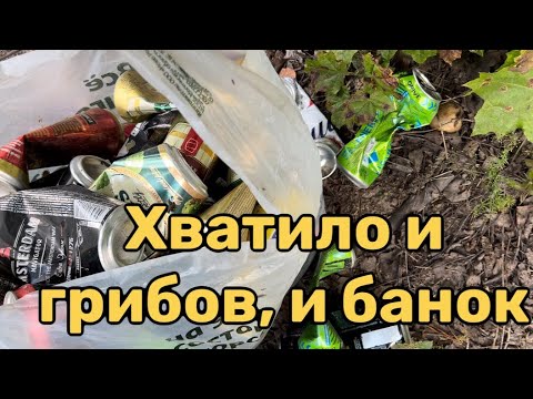 Видео: В лесу ждут не только грибы, но и другие находки из металла