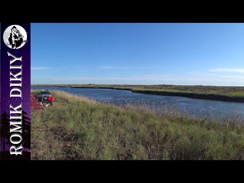 Видео: Ловля змеголова на поставки. Топарские озера. Август 2021г.