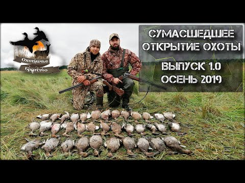 Видео: Сумасшедшее Открытие осенней охоты 2019. Выпуск 1.0