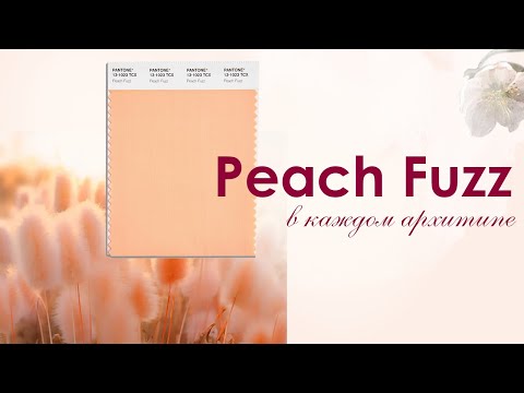 Видео: Модный тренд 2024 Peach Fuzz в каждом архетипе