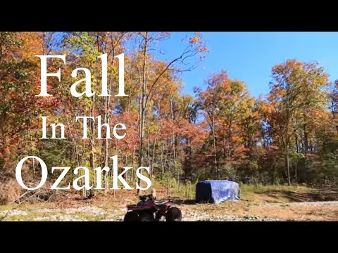 Видео: Осенние дни на ферме