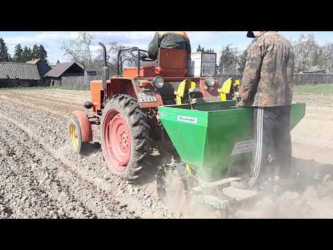 Видео: Т 25 и польская картофелесожалка bomet s239