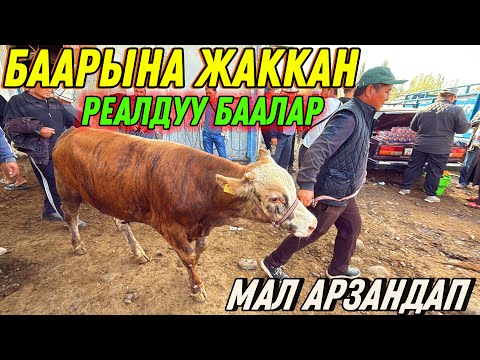 Видео: САТЫП АЛЫНГАН БААЛАР  УКАМ АРЗАН АЛДЫМ 🤯 #байтв 