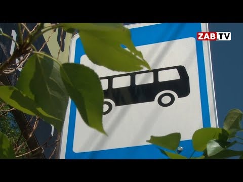 Видео: Осипов решил заменить маршрутки на муниципальные автобусы