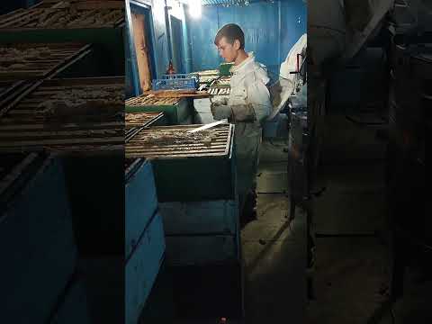 Видео: 1500 килограмм гречишного мёда