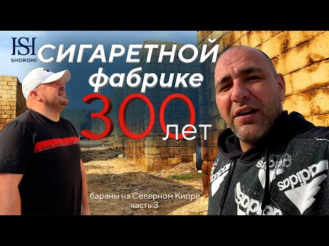 Видео: Бараны | Сигаретная фабрика которой более 300 лет | Северный Кипр