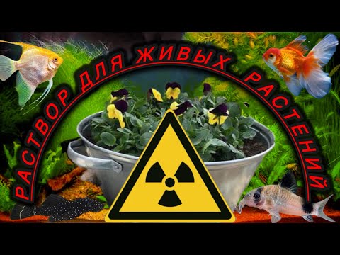 Видео: Как обеззараживать новые аквариумные растения ? 