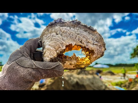 Видео: Мы нашли кальцитовые кристаллы во Флориде (лучшие в мире)