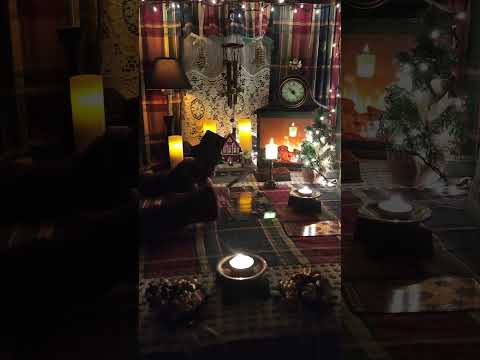 Видео: Он получил по голове за Вас заступились ВС