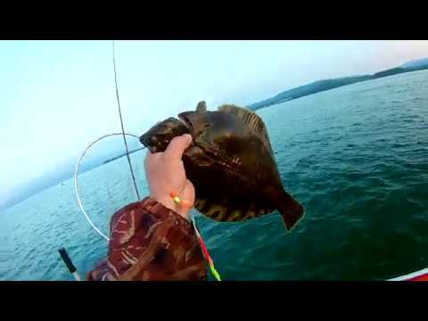 Видео: Камбала. Залив Восток. Сорвало винт на моторе. Охота и рыбалка на Дальнем Востоке