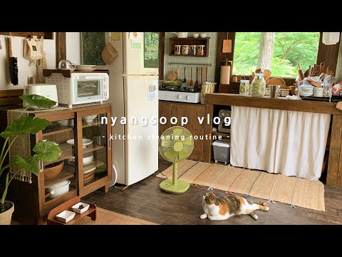 Видео: День очистки кухни 🍃 Организация кладовки в моей уютной кухне 🌻