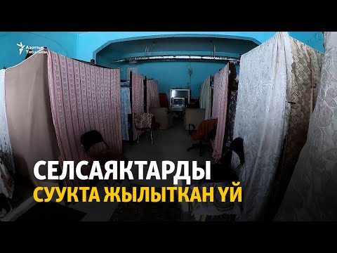 Видео: Селсаяктарды суукта жылыткан үй