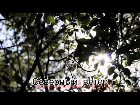 Видео: Клип [северный ветер] гача лайф