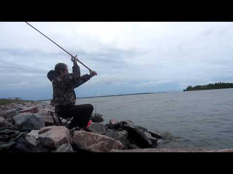 Видео: Рыбалка на дамбе Финского залива. Фидер. Подлещик и густера. 14 июля 2017